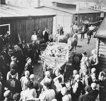 Austrian civilians remove a cartload of corpses from the Gusen concentration camp.
