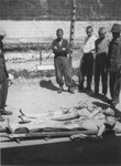Survivors in Ebensee collect the bodies of dead fellow prisoners for burial.
