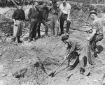 Survivors in the Linz concentration camp exhume bodies from a bomb crater.