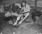 A survivor examines his wounded leg in the Gunskirchen concentration camp.