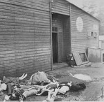Corpses lie on the ground outside of the infirmary in Bergen-Belsen.