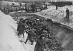 Former female camp personnel unload and bury prisoners' corpses in a mass grave.