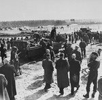 Burgermeisters from towns close to Bergen-Belsen are confronted with Nazi crimes by British officers.