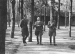 Reichsfuehrer-SS Heinrich Himmler converses outside in front of a cabin with two other Nazi leaders.