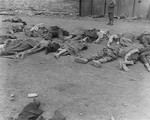 Corpses that were removed from the central barracks (Boelke Kaserne) lie on the grounds of the Nordhausen concentration camp.