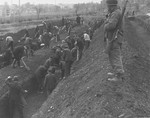 German civilians from the town of Nordhausen dig mass graves for the victims of the Nordhausen concentration camp.
