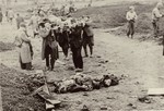German civilians from the town of Nordhausen bring corpses to mass graves for burial.