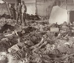An American soldier and medical officer view the bodies of prisoners lying on the ground in a barracks in the Nordhausen concentration camp.