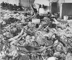 An American medic helps a survivor who was lying amongst the corpses of dead prisoners in the "Boelke Kaserne".