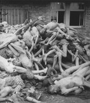 View of a pile of corpses outside the crematorium.