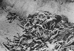 View of a mass grave in the Bergen-Belsen concentration camp.