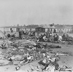 Survivors sit among corpses that litter a section of Bergen-Belsen.