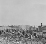 Survivors gather behind a barbed wire fence in Bergen-Belsen.