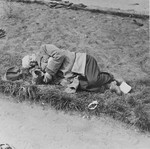 A survivor sleeps on the grounds of the Bergen-Belsen concentration camp after liberation.