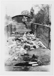 Corpses lie in an open truck prior to burial soon after the liberation of Ebensee.