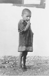 A Romani child interned in the Rivesaltes transit camp.