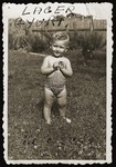 Portrait of Gyuri Legmann (the son of Boezi Legmann), one of the seven Kaufering babies born to the women of the Schwanger [pregnancy] Kommando in the Kaufering concentration camp in the winter of 1945.