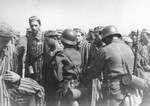 Newly liberated prisoners with German soldiers in either Mauthausen or the Gunskirchen sub-camp.