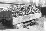 View of a wagon piled high with corpses outside the crematoria in the Buchenwald concentration camp.