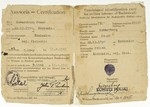 Identification card issued to child survivor, Joseph Szwarcberg, by the American military government after his liberation from Buchenwald.