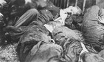 The corpses of SS guards executed by American troops during the liberation of the camp and piled behind the crematorium.