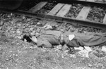 The body of an SS guard next to the railroad track.