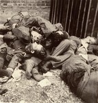 The bodies of SS personnel who were executed by U.S.