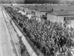 Dachau survivors gather by the moat to greet American liberators.