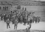 Survivors in Dachau cheer the arrival of U.S. troops.