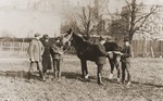 Berl Broda (second from the left), with his sons Aaron and Zalman, sells horses at a horse-trading fair in Breslau.