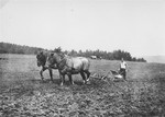 A member of Kibbutz Buchenwald plows the fields with a team of horses.