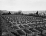 View of the cemetery at the Hadamar Institute, where victims of the Nazi euthanasia program were buried in mass graves.