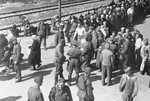 Jews from Subcarpathian Rus undergo a selection on the ramp at Auschwitz-Birkenau.
