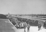 View from atop the train of Jews lined up for selection on the ramp at Auschwitz-Birkenau.