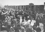 Jews from Subcarpathian Rus await selection on the ramp at Auschwitz-Birkenau.