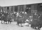 Jews from Subcarpathian Rus get off the deportation train and assemble on the ramp at Auschwitz-Birkenau.