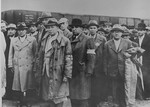 Jewish men from Subcarpathian Rus await selection on the ramp at Auschwitz-Birkenau.