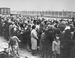 Jews from Subcarpathian Rus await selection on the ramp at Auschwitz-Birkenau.