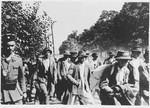 Serbs and Roma who have been rounded up for deportation are marched to the Jasenovac concentration camp under Ustasa guard.