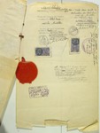 Affidavit in lieu of passport issued to Jewish refugee Salomon Schachter and his family by Hiram Bingham, Vice Consul at the US consulate in Marseilles.