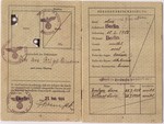 Passport issued to Frida Felicie Perl in February, 1939.