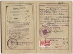 Passport issued to Ernst Perl in February, 1939.  It is stamped with a red "J" and includes the middle name Israel in order to identify the owner as Jewish.