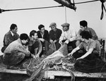 Italian instructors show Jewish DPs how to use fishing nets at the Migdalor hachshara, a maritime Zionist collective in Fano, Italy.