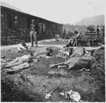 Survivors lie outside among the dead at the newly liberated Ebensee concentration camp.