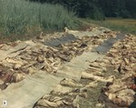 The corpses of prisoners exhumed from a mass grave near Nammering.