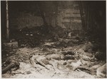 The charred bodies of prisoners who were burned alive in a barn outside of Gardelegen.