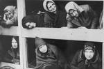 Former women-prisoners on the wooden bunks that served as beds, in Auschwitz concentration camp.