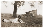 Heinz Thomas Stein, a German Jewish child in hiding, lies in a pasture on the Litjen farm in Swolgen, Holland.