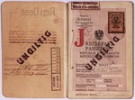 Passport issued to Oskar Fiedler on June 15, 1920 in Vienna.