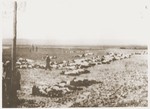 The bodies of Jews removed from the Iasi death train during a stop on the journey, are laid out in rows beside the tracks.